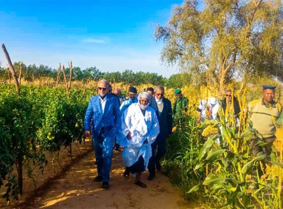 Le ministre de l’Agriculture visite plusieurs projets privés dans la moughataa de Guerrou