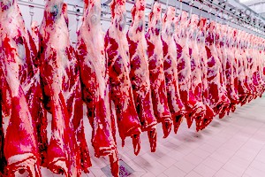 454 millions d’ouguiyas pour construire 15 abattoirs 