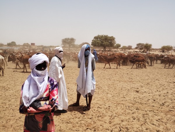 Programmes TAWAFOUG et MIRECAM : 1 179 millions MRU pour répondre aux besoins des populations hôtes et réfugiées dans le Hodh el Chargui