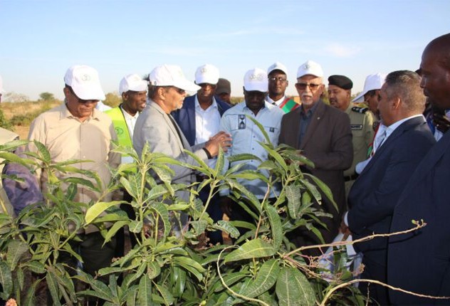 Le ministre de l’agriculture visite le barrage de Legrayer à Tamchekett et plusieurs sites agricoles au Hodh El Gharbi