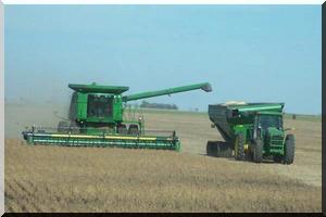 Trarza : 16 000 ha à moissonner à l’aide de 60 moissonneuses vétustes
