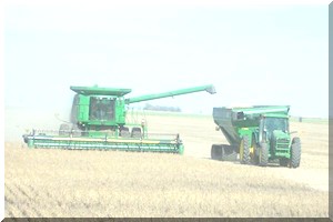 Exploitation des terres de la vallée : Les investisseurs doivent opérer à partir du 12ème Km au delà du walo disent les FPC