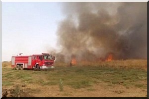 Aleg : Un incendie ravage une vaste zone pastorale - [PhotoReportage]