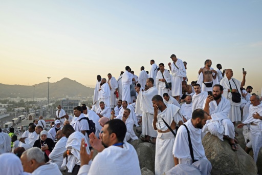 Les pèlerins musulmans sur le Mont Arafat, étape phare du hajj