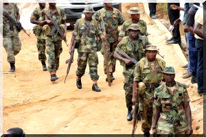 Nigéria: l'armée a lancé une offensive contre les islamistes de Boko Haram