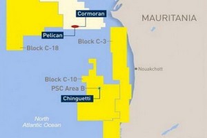 Mauritanie : Tullow et Sterling Energy annoncent leur sortie du bloc offshore C-10 