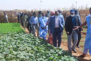 Le ministre de l’Agriculture en Inchiri pour impulser la campagne agricole