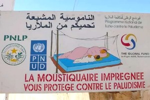 Campagne pour la distribution de près d’un million de moustiquaires imprégnées