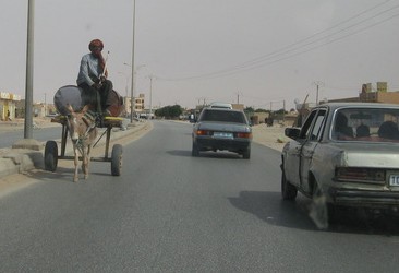 Pour des dos d'ânes sur l'axe routier Cité plage : Stop à l'hécatombe routière ! / Par Souleymane Djigo, journaliste