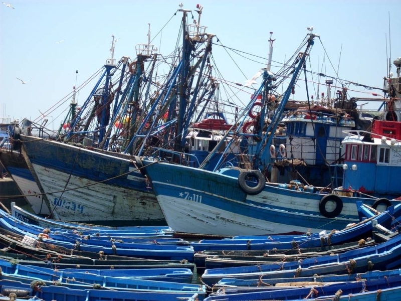Pêche maritime. Le Maroc et la Mauritanie s'allient
