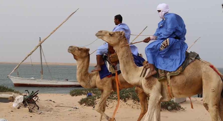 France-Mauritanie. Vers un mariage culturel pour les deux bancs d’Arguin 