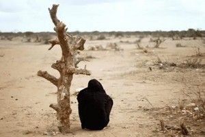 Changement climatique : 33 milliards de dollars d’urgence pour le Sahel