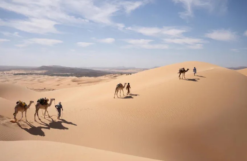 De la Mauritanie à la France, les chercheurs de météorites en quête de l'or céleste 