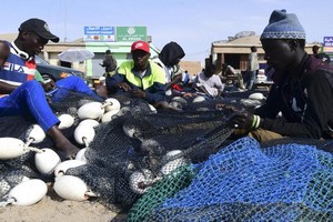 Mauritanie: les pêcheurs protestent contre les insuffisances du port de Tanit
