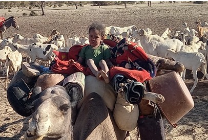 Faim, sécheresse et violence : situation préoccupante dans le Nord du Mali