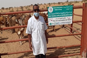 État de la santé animale dans le village de Rayane en Mauritanie