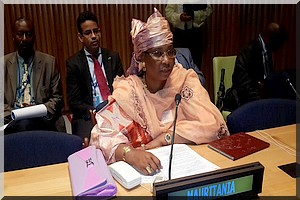Discours de la Ministre de la Jeunesse et des Sports, Dr Ba Coumba, ce lundi 1 juin 2015, à New-York dans la Salle du Conseil de Tutelle des Nations Unies[PhotoReportage] 