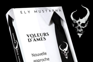 « Voleurs d’âmes », mon livre. Par Pr ELY Mustapha