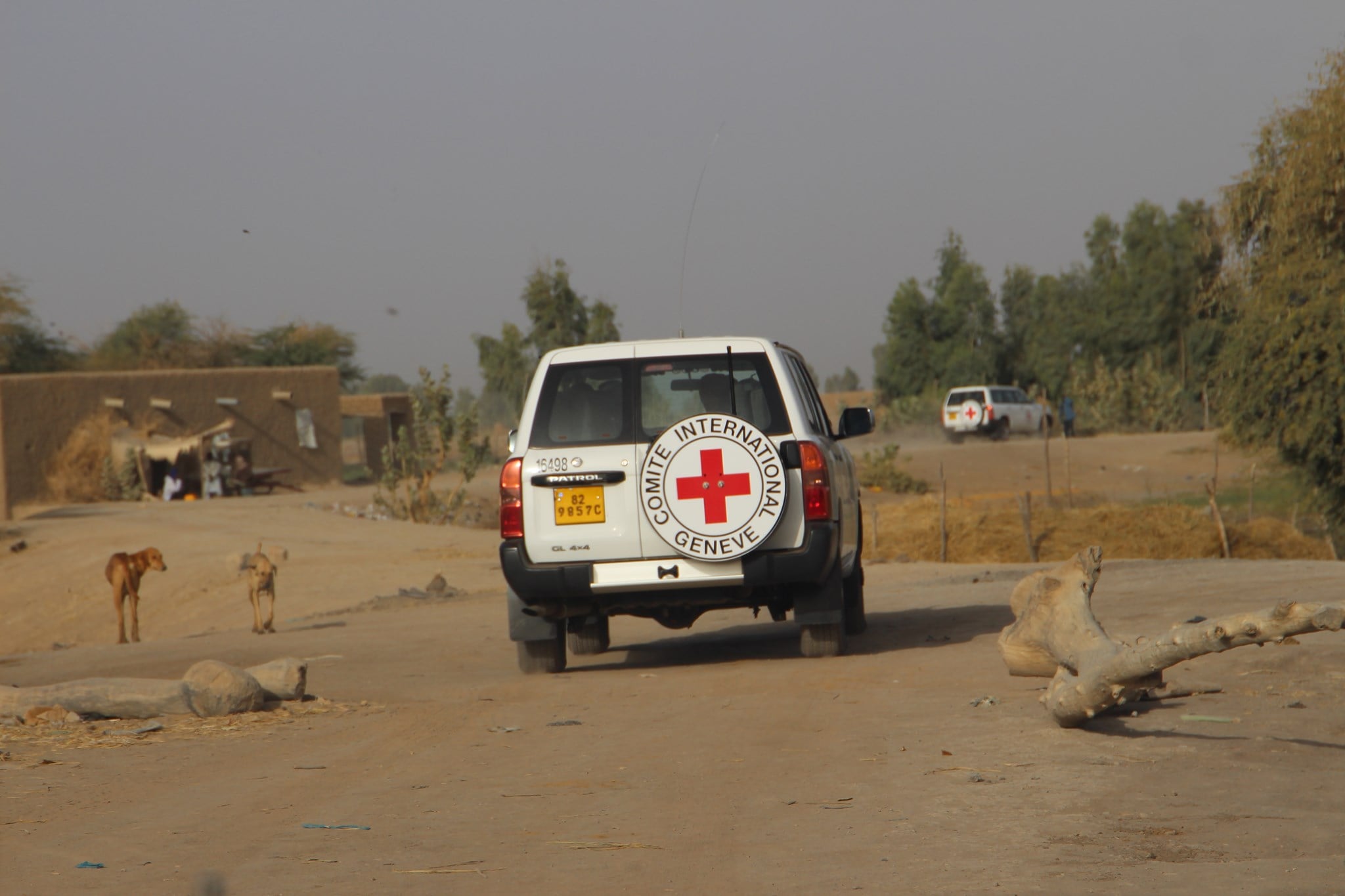 Libération des deux travailleurs humanitaires de la Croix-Rouge enlevés au Mali