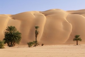 Tourisme en Mauritanie : Des manques à gagner considérables
