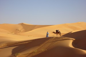 Entre Ouadane et Chinguetti … Une touriste dans le désert