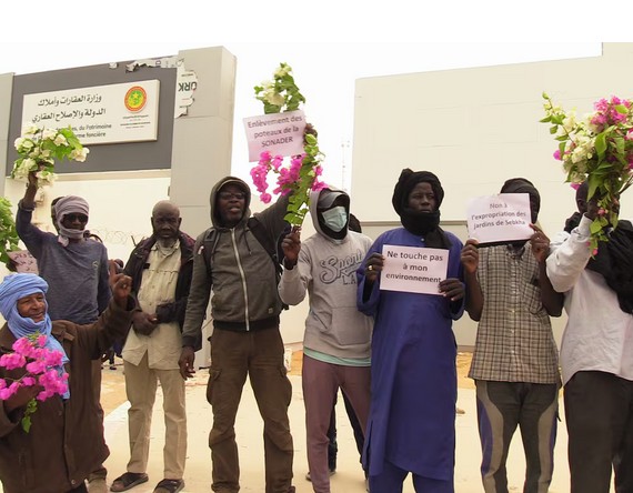 Nouakchott: «Non à la destruction de la palmeraie», des agriculteurs vent debout contre l’urbanisation de l’unique poumon vert