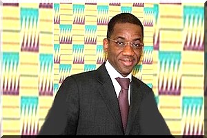 Mali : un mauritanien pressenti au poste du chef adjoint de la Minusma