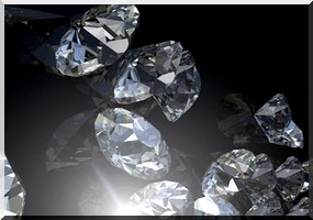 Afrique du Sud - La mule bourrée de diamants piégée aux rayons X