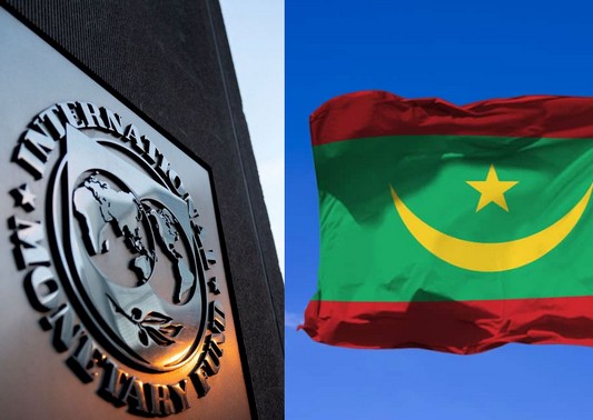 FMI:  Quels avantages peut tirer la Mauritanie de la FRD?