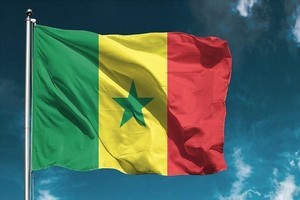 High Tech: MPM, le groupe mauritanien d'Ould Ducros adjudicataire d'un marché de fibre optique au Sénégal