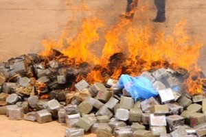 Près d’une tonne de drogue incinérée dans le nord du pays