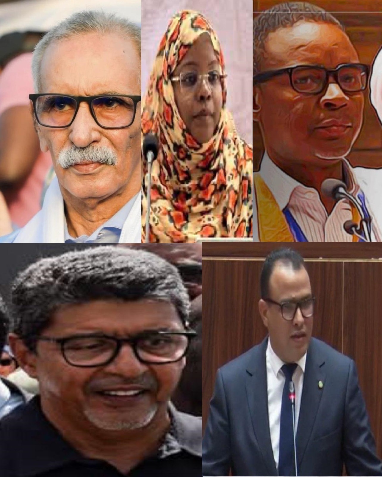 En attendant le congrès du parti au pouvoir : qui accédera à la présidence du parti El Insaf ?