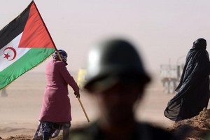 Le Front Polisario et le Hezbollah démentent les accusations du Maroc