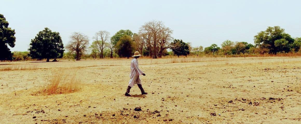 Terres : la Mauritanie viole les droits coutumiers de propriété, selon un rapport de Land Matrix Initiative
