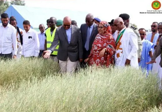 La ministre de l’environnement : « les incendies de pâturages coûtent annuellement à la Mauritanie 5 milliards MRU » 