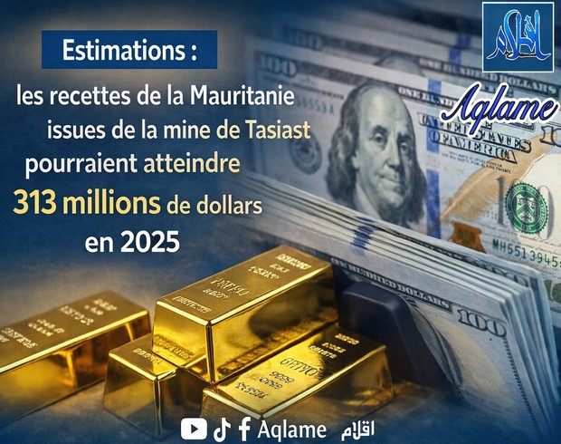 Estimations : les recettes de la Mauritanie issues de la mine de Tasiast pourraient atteindre 313 millions de dollars en 2025