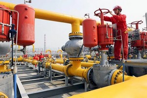 Mauritanie-Sénégal: L’installation du site d’exploitation de gaz de BP menace la biodiversité