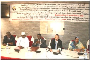 Vers une politique régionale pour une pêche durable des petits pélagiques.  
