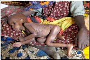 Famine imminente dans les deux Hodhs