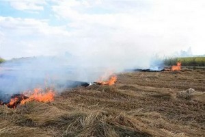Guidimakha : campagne de lutte contre les feux de brousse
