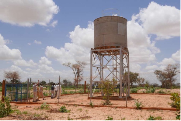 Forages à sec : Lexeiba « meurt » de soif