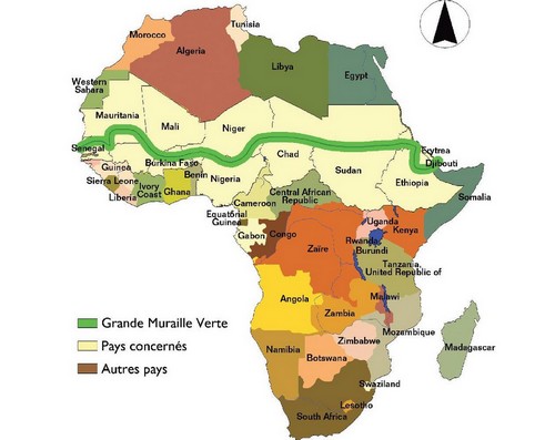 L’Initiative de la Grande Muraille Verte : une promesse non tenue en Mauritanie