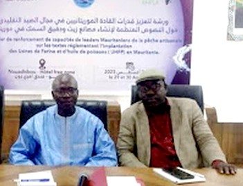 Greenpeace et Zakia organisent un atelier de formation sur le renforcement des capacités à Nouadhibou