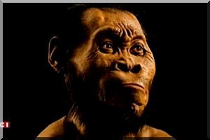 Homo naledi: «Cette découverte est un trésor inestimable»