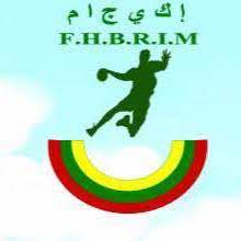 Fédération mauritanienne de handball : Les candidatures sont ouvertes 