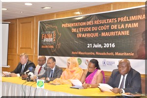  Présentation des résultats préliminaires de l'étude sur l'incidence sociale et économique de la dénutrition infantile en Mauritanie 