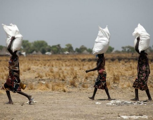 Mali : L’ONU débloque 11 millions de dollars pour combattre l’insécurité alimentaire