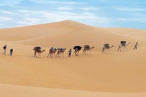 Mauritanie: regain d'intérêt pour le tourisme, après une décennie de crise