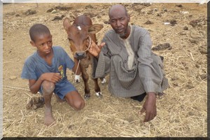 ISET-Rosso :  un élevage durable qui améliore le mode de vie des villageois [PhotoReportage]