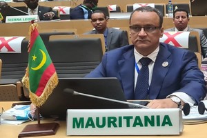 Ismaël Cheikh Ahmed : La Mauritanie attache un grand intérêt à son partenariat stratégique avec la Turquie
